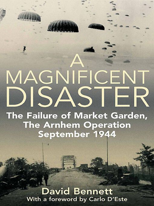 Title details for A Magnificent Disaster by David Bennett - Available